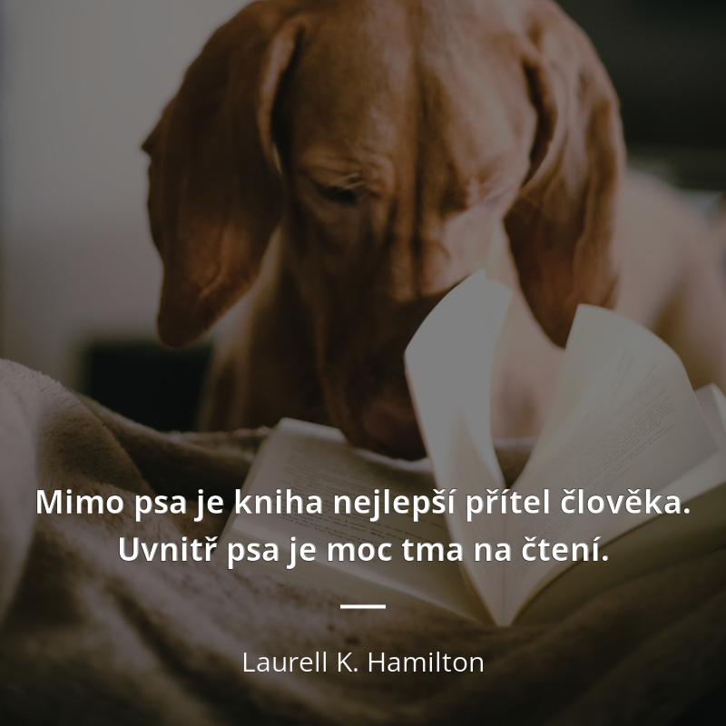 Laurell K. Hamilton citát: „Mimo psa je kniha nejlepší přítel člověka. Uvnitř psa je moc tma na čtení.“